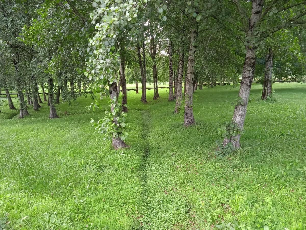 Apartamento Turistico Rural Casa Chain Луго Экстерьер фото